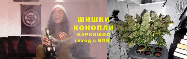 шишки Нягань