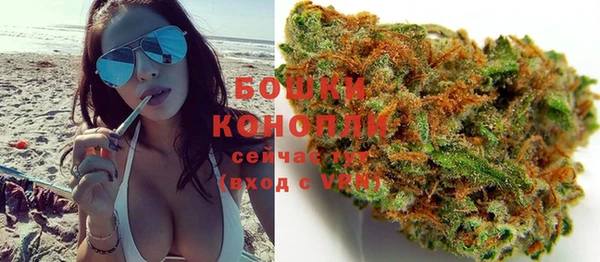 шишки Нягань