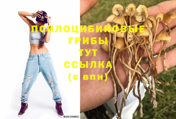 таблы Видное