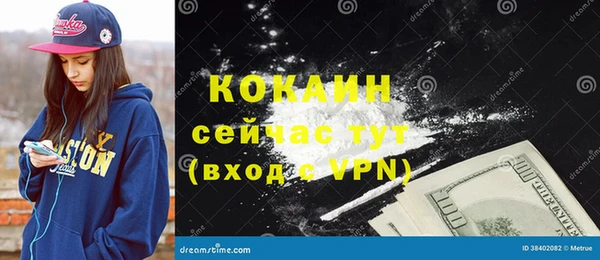 шишки Нягань