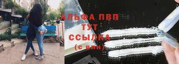шишки Нягань