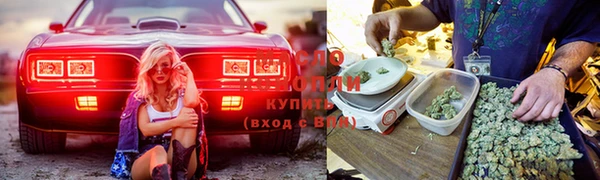 шишки Нягань