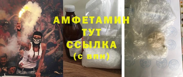 шишки Нягань